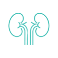 Nephrology
